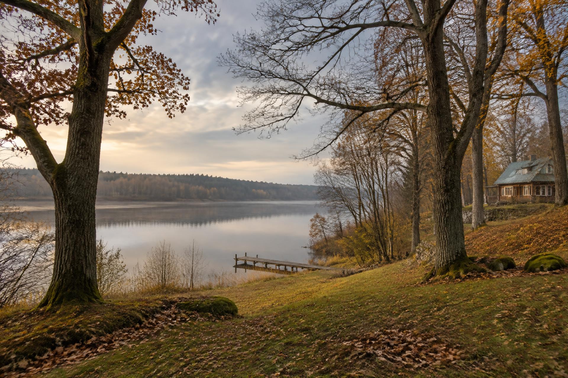 Mierīga novembra sākuma ainava Daugavas krastā pie Kokneses ar lieliem veciem lapu kokiem, koka laipiņu un viesu māju